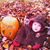 Sue Buchanan Hale's profile image