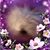 Jean Otte Reahm's profile image