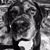 Kevin Poore's profile image