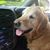 Brian Clark's profile image