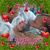 Carmen Ayala's profile image