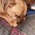 Dorinda Mathews's profile image