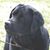 Julie Cain's profile image