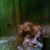 Patricia D Mccombs's profile image