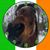 Melissa Lenter's profile image