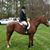 Mary Jones Hall's profile image