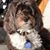 Carlo Alfredo Bidone's profile image