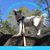 Susan Anne Wilson's profile image
