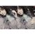 Ruksaana Begum's profile image