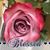 Jacque Harris's profile image