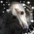 Tammy L March's profile image