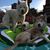 Linda Brazz's profile image