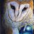 Rudy Tamez's profile image