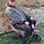 William Heitman's profile image