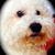 LisaKay Kaye Gurney's profile image
