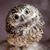 Susan Gordon-Cruea's profile image