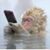 Ryan Gallwitz's profile image