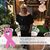 Mariangelis Bobet's profile image