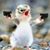 Amanda Hartung's profile image