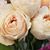 Heather Belew Easterday's profile image