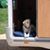 Alan Dovnik's profile image