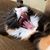 Rachel Boyd Potter's profile image