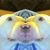 Tiffany Rainbolt's profile image