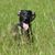 Deborah Austin Armstrong's profile image