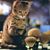 Samantha Kennedy's profile image