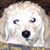 Sherry Gilbertson Norstedt's profile image