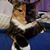 Tasha Marie's profile image