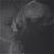 Shannon Stettner's profile image