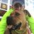 David Villalba's profile image