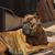 Jody Estok's profile image
