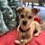 Lola Nln's profile image