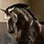 Kathy Adkins's profile image