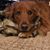 Joanna Rosen's profile image