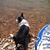 Denice McMinn's profile image