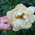 Bobbi Dugas's profile image