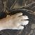 Karen Thornton Sayers's profile image