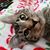 Jennifer Detty's profile image