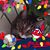 Marlane Chandler's profile image