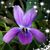 Kathy Mitchell's profile image