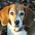Jacki Rau's profile image