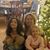 Lynn Marquardt Clements's profile image