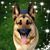 Sandy Kellogg's profile image