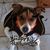 Kimberly Beattie Mulvaney's profile image