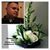 Danny Sanchez's profile image
