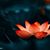 Karon Heagle's profile image