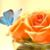 Garcia Hernandez's profile image